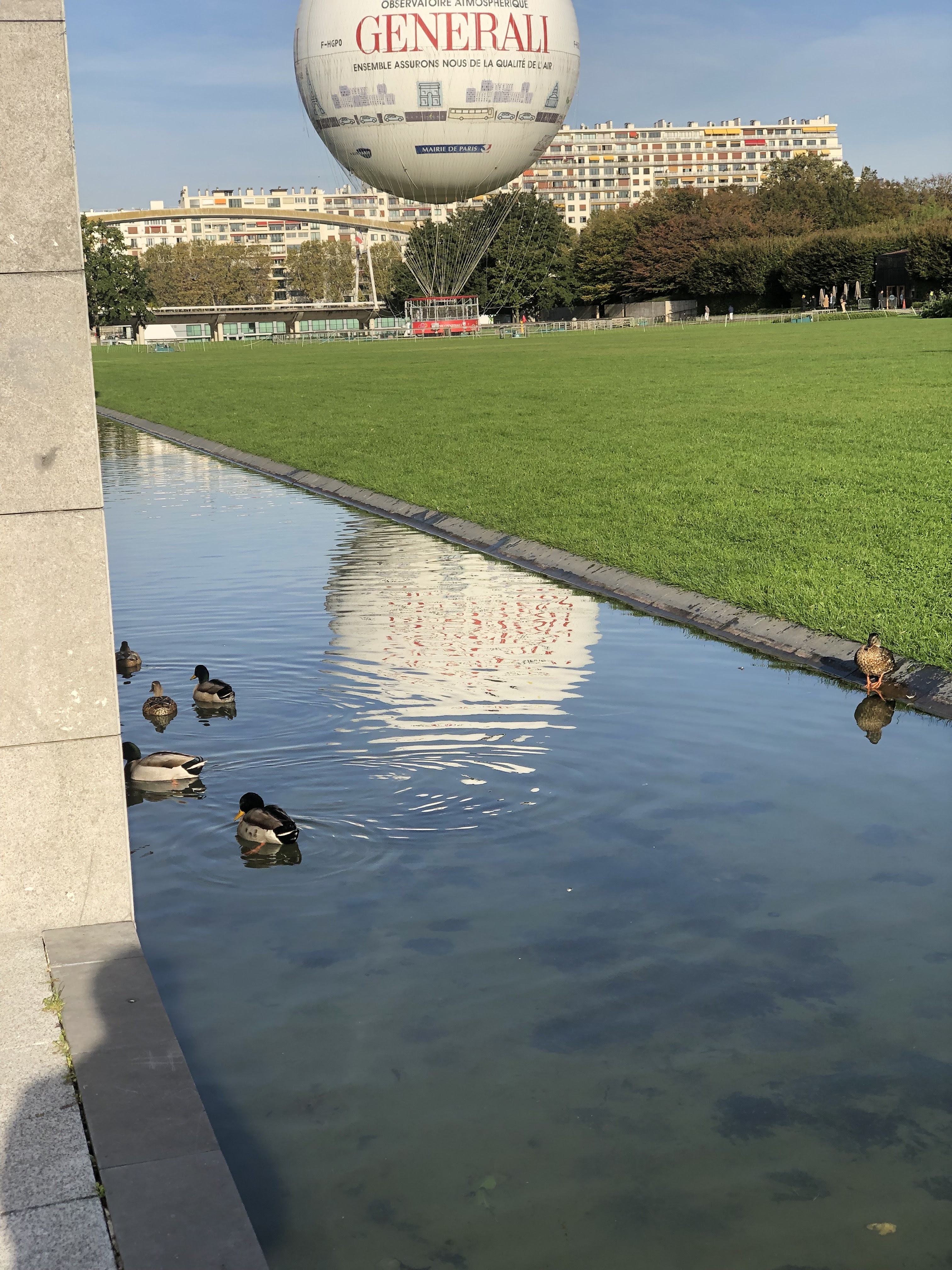 Photo n° 27 de l'avis de Jean.o fait le 22/11/2018 à 10:25