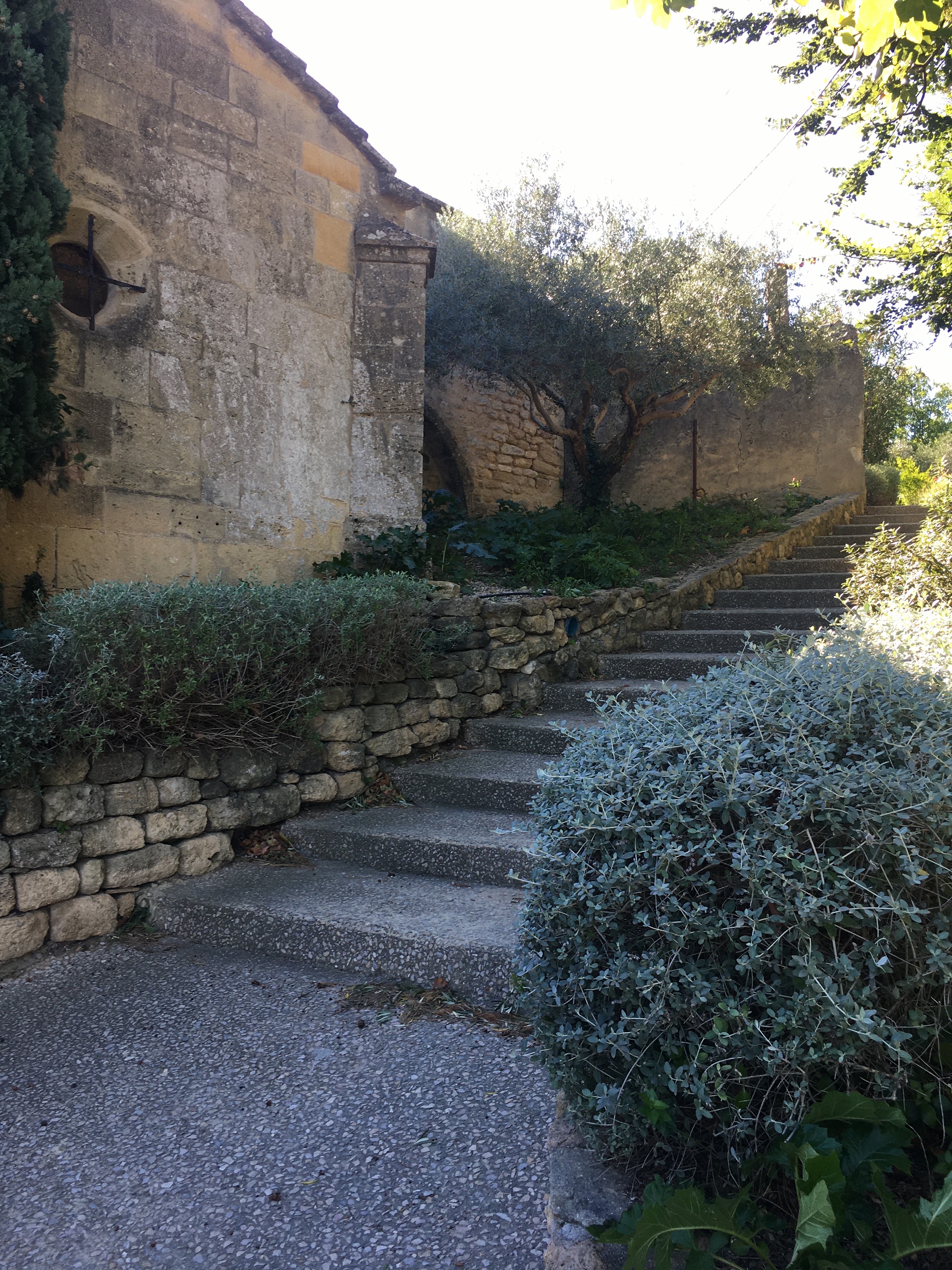 Photo n° 6 de l'avis de pierre.o fait le 07/10/2021 à 16:26