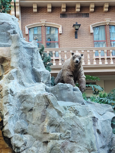 Garden «Mystic Falls Park», reviews and photos, 5111 Boulder Hwy, Las Vegas, NV 89122, USA