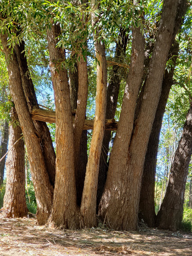 Park «Westlands Park», reviews and photos, 5701 S Quebec St, Greenwood Village, CO 80111, USA