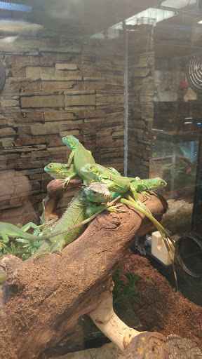 Pet Store «Pet Zone», reviews and photos, 8925 Jewella Ave #4, Shreveport, LA 71118, USA