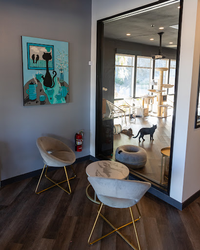 Frisky Business Palm Springs Cat Cafe image