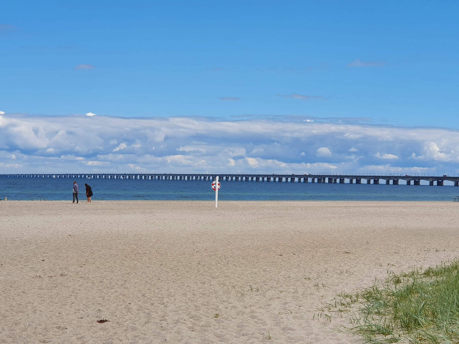 Nyborg Beach'in fotoğrafı - tatil için iyi evcil hayvan dostu nokta