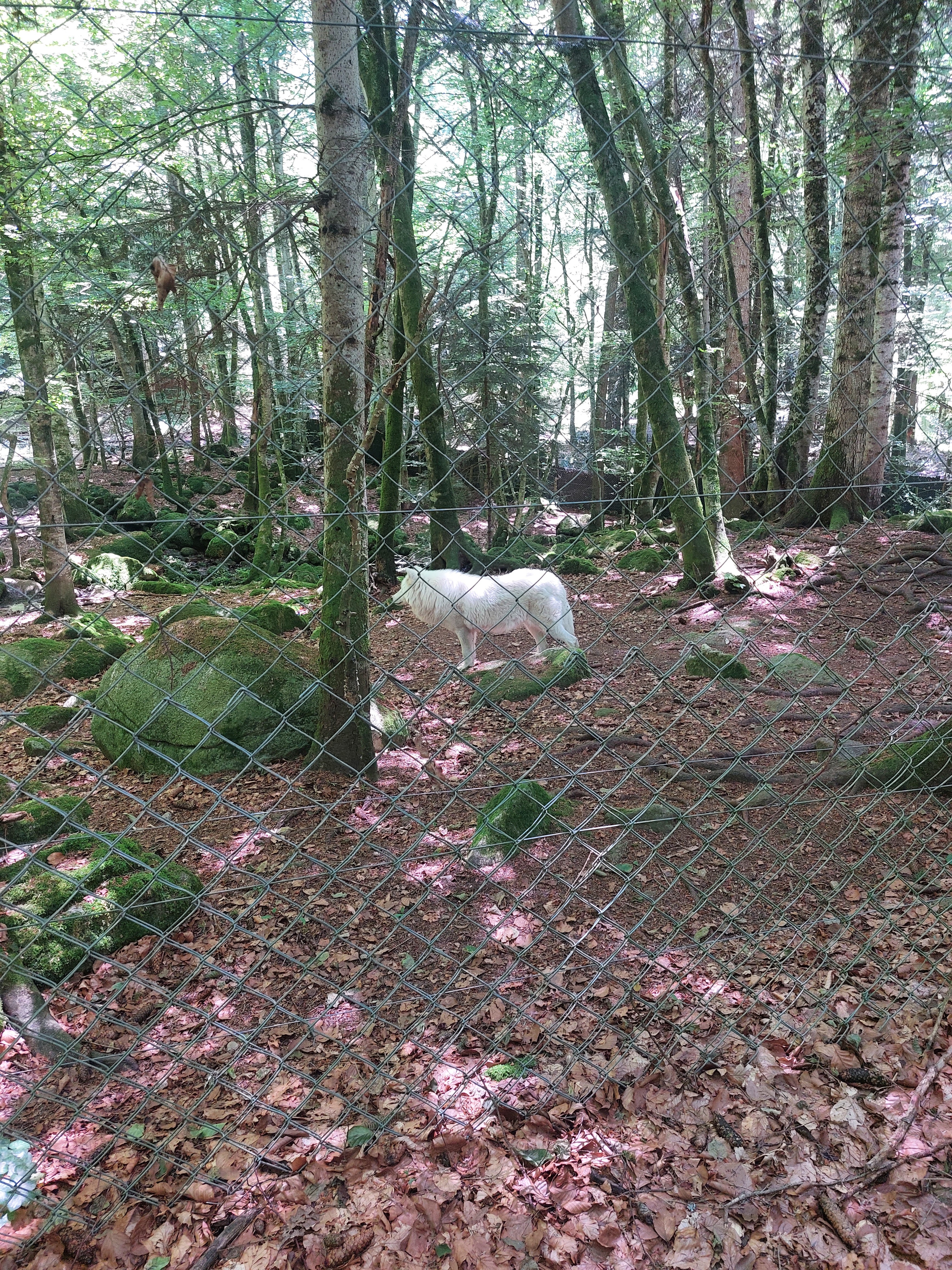 Photo n° 3 de l'avis de Fred. fait le 25/06/2023 à 20:35