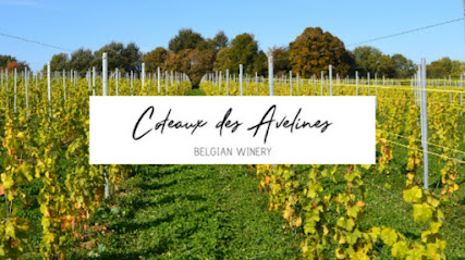 Coteaux des Avelines - Vignoble