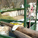 Photo n°1 de l'avis de Dalmazzo.a fait le 21/02/2018 à 12:07 sur le  Albergo Ristorante Bucaneve à Bielmonte