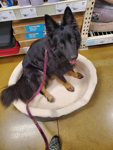 Pet Supply Store «PetSmart», reviews and photos, 3210 E Lynn Blvd, Sterling, IL 61081, USA