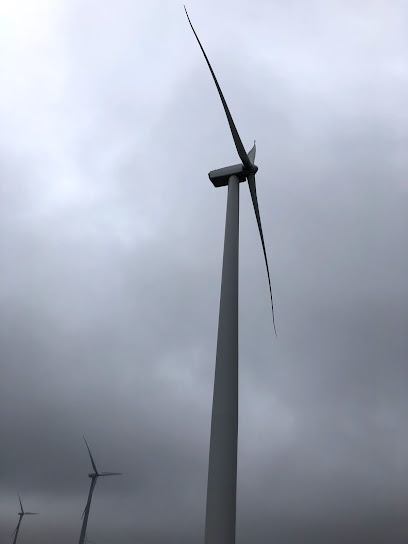 Amaranth Wind Farm
