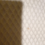 Photo n°3 de l'avis de Gaetano.r fait le 22/09/2019 à 16:32 sur le  Hotel Parco delle Rose à San Giovanni Rotondo