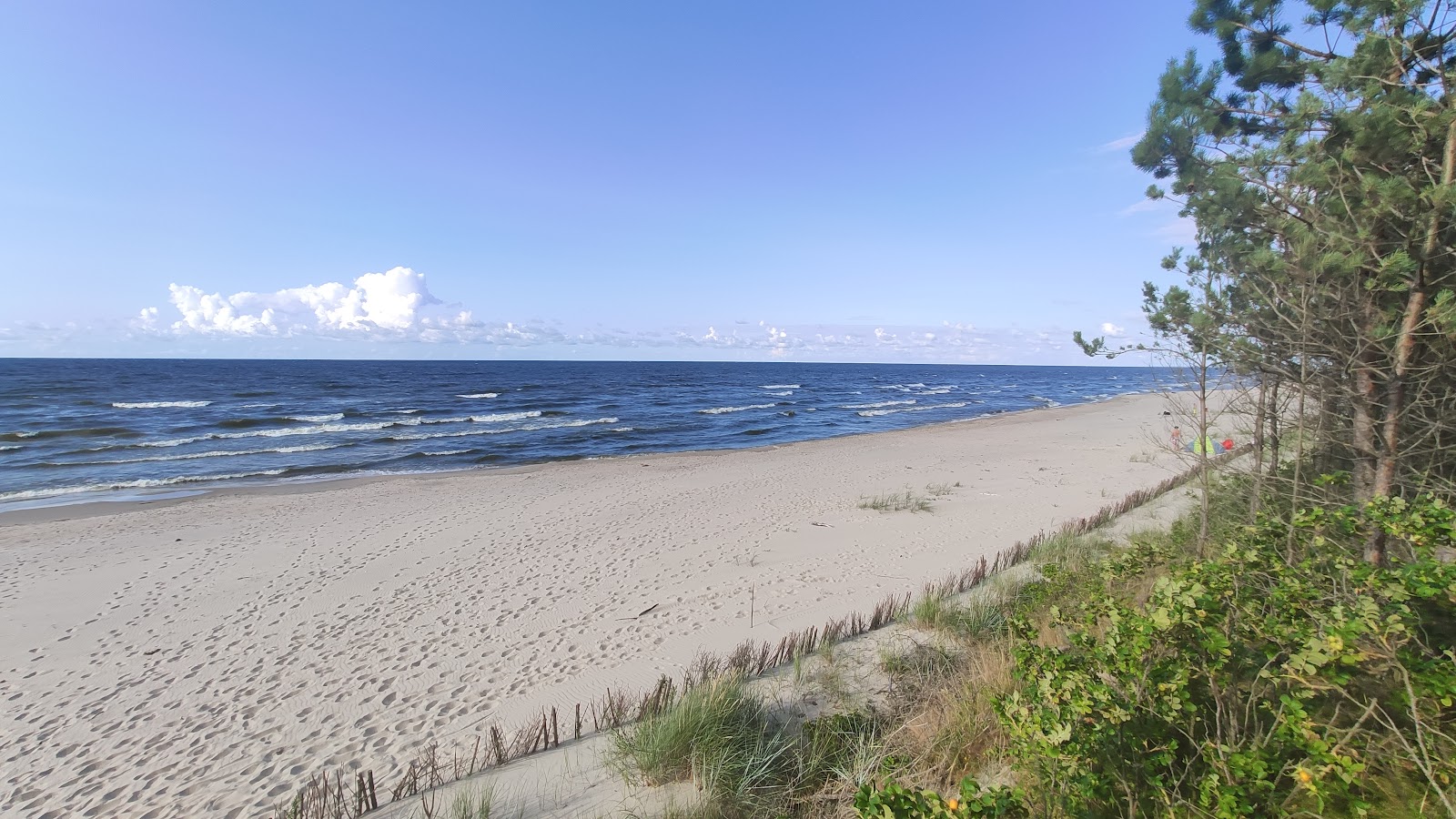 Foto af Sztutowo beach entr 55 med lys sand overflade