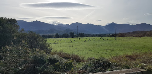 Medrano Cirque à Calvi