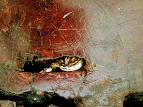 Pets - Photo 3 - Car repair in Lake Worth Beach, FL, West Palm Beach