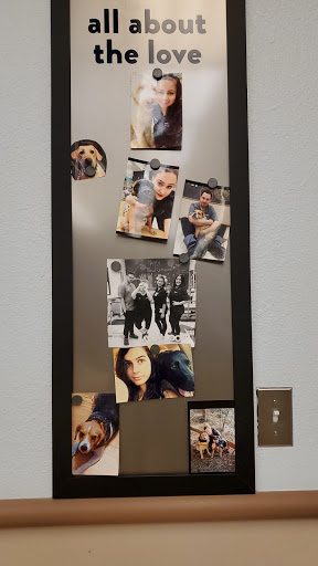 Pet Supply Store «PetSmart», reviews and photos, 5 Main St, East Hartford, CT 06118, USA