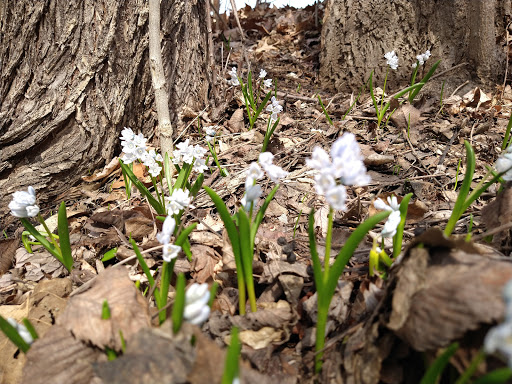 Park «Creekview Park», reviews and photos, 5001 Humboldt Ave N, Minneapolis, MN 55430, USA