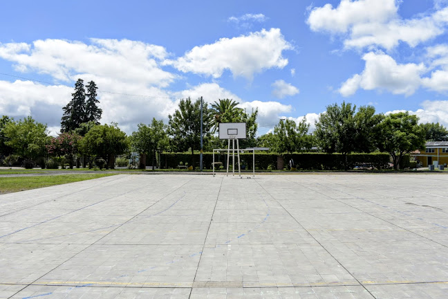 Plaza de Deportes - Young