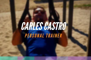 Trainer Carles image