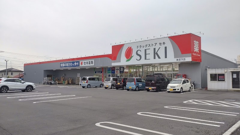 ドラッグストアセキ東宮下店