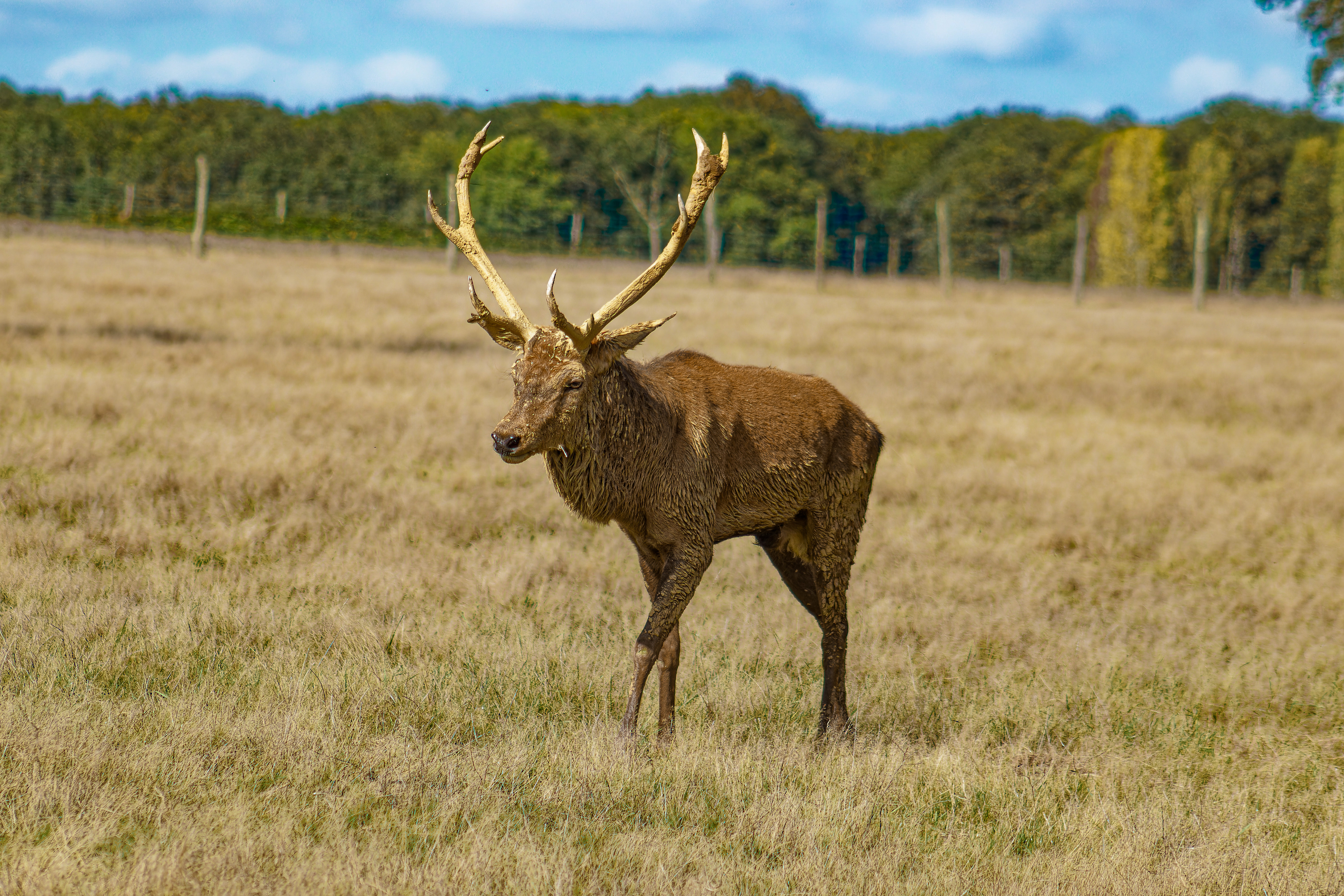 Photo n° 4 de l'avis de Eloise. fait le 23/10/2023 à 07:47