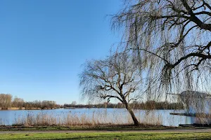 Haarlemmermeerse Bos image