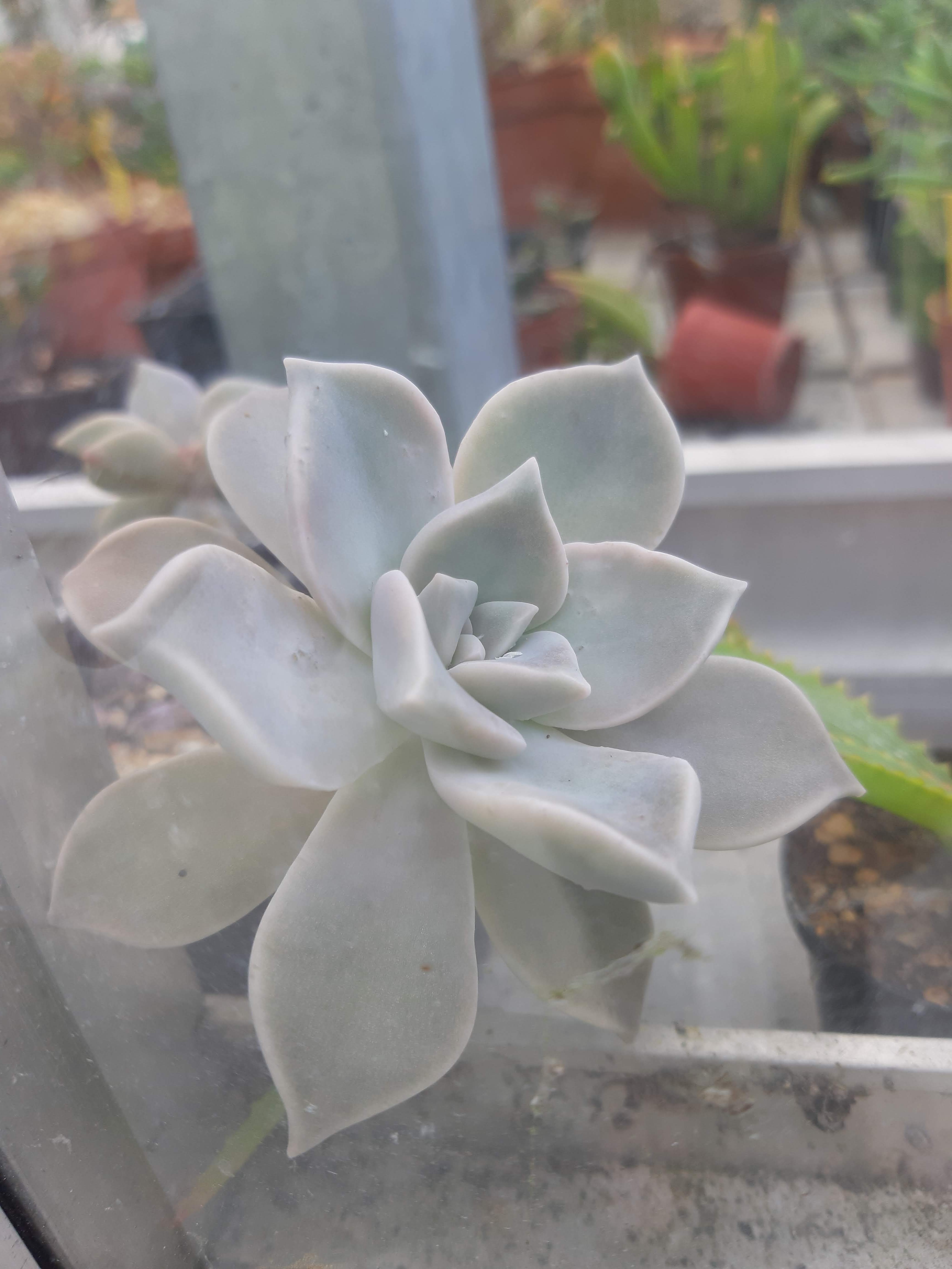 Photo n° 3 de l'avis de ka.i fait le 14/06/2019 à 13:23
