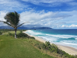 Photo de North Beach avec un niveau de propreté de très propre