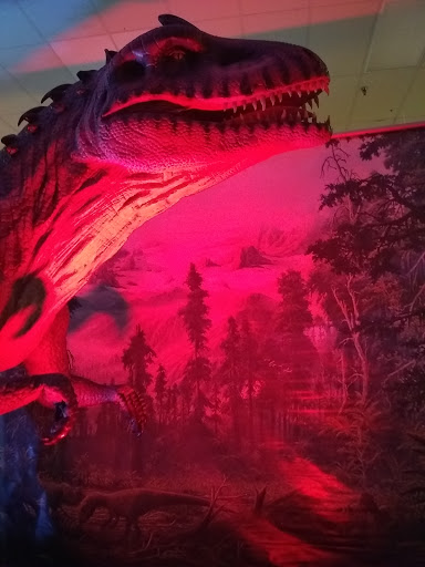 Event Venue «San Antonio Event Center», reviews and photos, 8111 Meadow Leaf Dr, San Antonio, TX 78227, USA