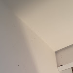 Photo n°3 de l'avis de Mattia.u fait le 24/07/2023 à 10:51 sur le  Palazzo dei Ciompi à Florence