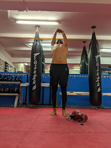 Reviews of Team-Underground MMA in London - Gym