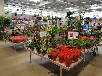 Auchan Jardinerie à Grande-Synthe
