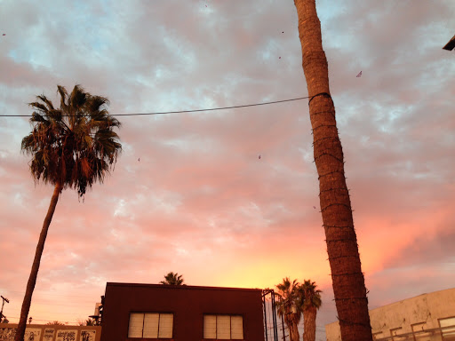 Tobacco Shop «Green House Smoke Shop», reviews and photos, 1428 Abbot Kinney Blvd, Venice, CA 90291, USA