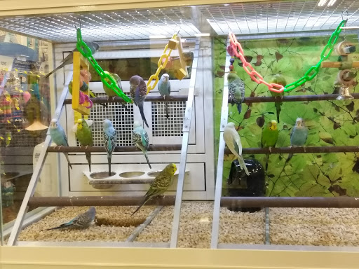 Pet Supply Store «PetSmart», reviews and photos, 2141 N Rose Ave, Oxnard, CA 93036, USA