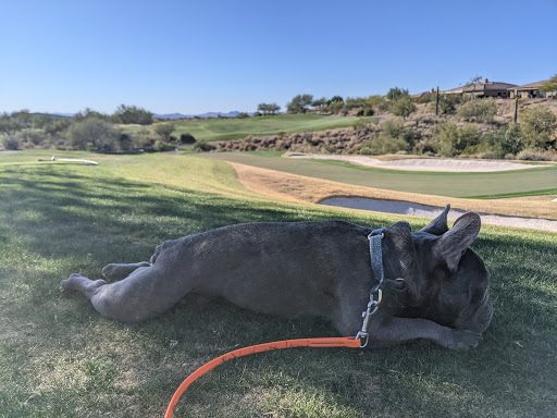 Golf Course «Anthem Country Club», reviews and photos, 2708 W Anthem Club Dr, Phoenix, AZ 85086, USA