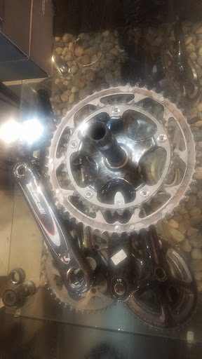 Bicycle Store «Grey Matter Family Bicycle Shop», reviews and photos, 5826 N 16th St, Phoenix, AZ 85016, USA