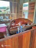 Babi Guling Logo, Pamona Utara, Indonésie, Restaurace