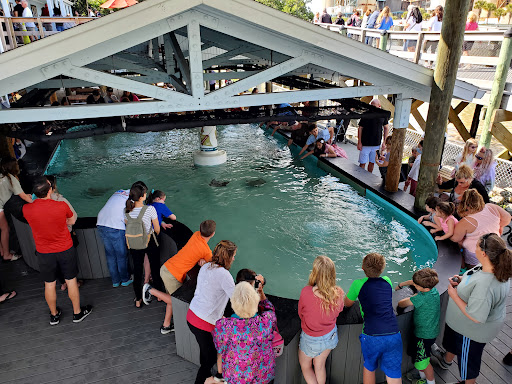 Nature Preserve «Manatee Viewing Center», reviews and photos, 6990 Dickman Rd, Apollo Beach, FL 33572, USA