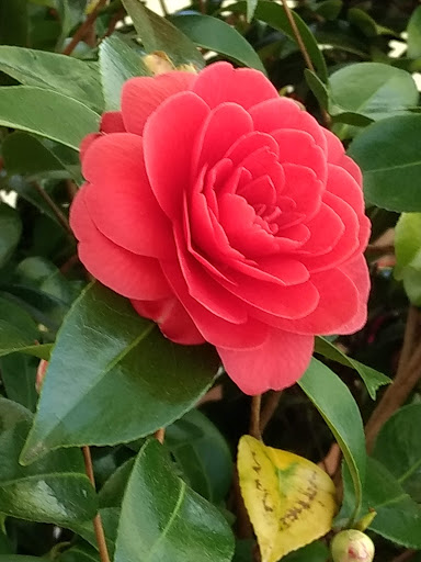 Park «Fremont Peak Park», reviews and photos, 4357 Palatine Ave N, Seattle, WA 98103, USA