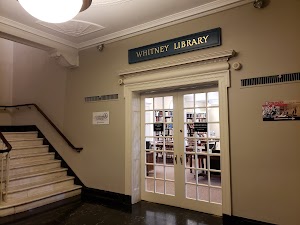 New Haven Museum - photo 26