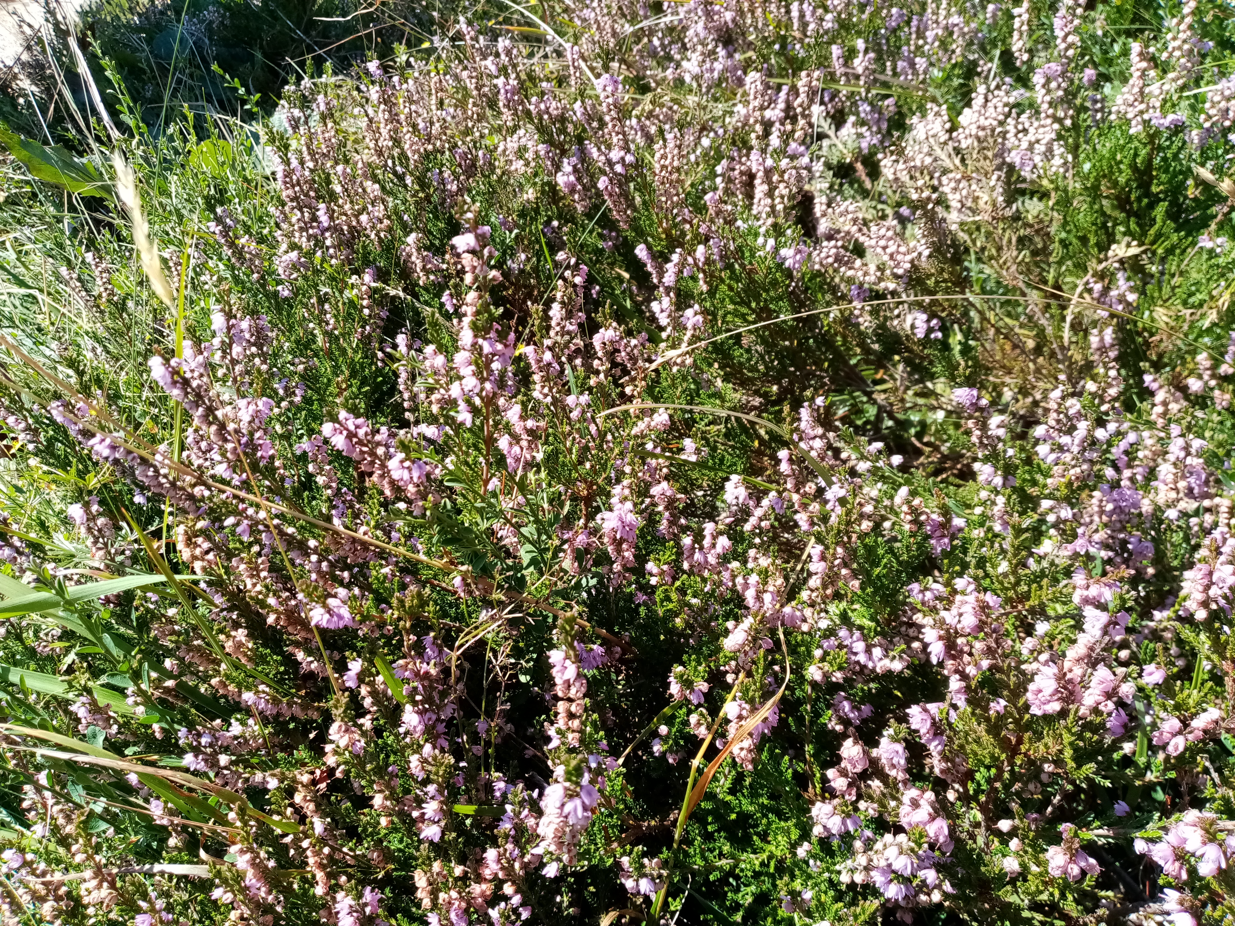 Photo n° 8 de l'avis de Christine.a fait le 05/09/2021 à 13:14