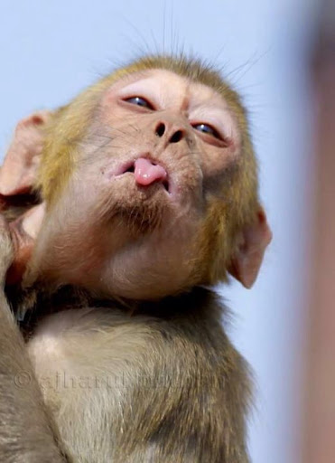 Phone Repair Service «The Fix - Mobile Phone & Tablet Repair», reviews and photos, 1500 New Britain Ave, West Hartford, CT 06110, USA