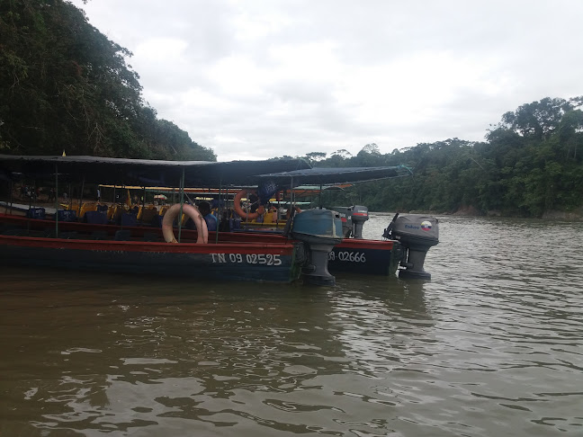 Opinii despre TAXI service în Tanicuchí - Servicio de taxis