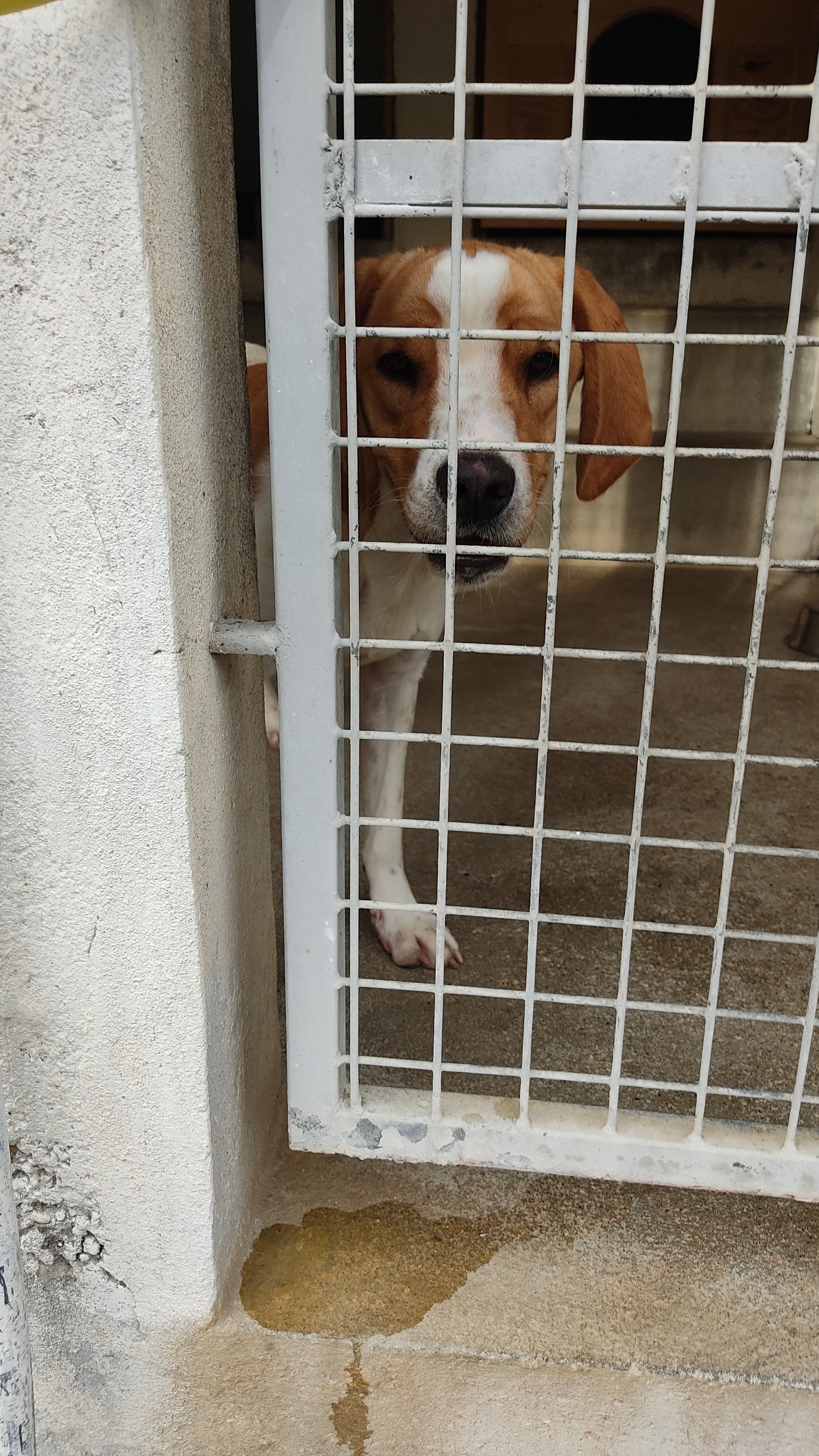 Photo n° 14 de l'avis de Tiane.u fait le 26/09/2021 à 11:10