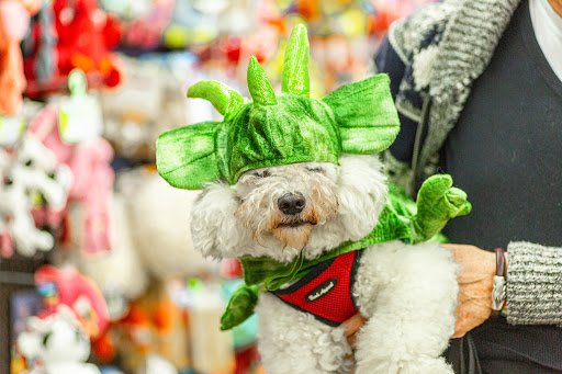 Pet Supply Store «Thomaston Feed of Cheshire», reviews and photos, 851 S Main St, Cheshire, CT 06410, USA