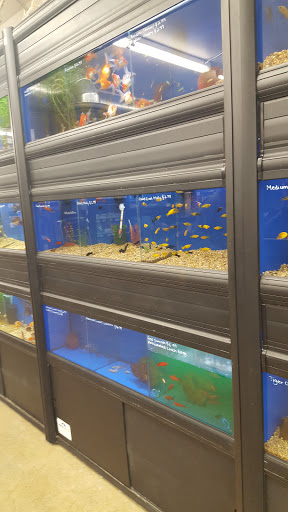 Pet Store «Super Pets», reviews and photos, 1807 E Chapman Ave, Orange, CA 92867, USA