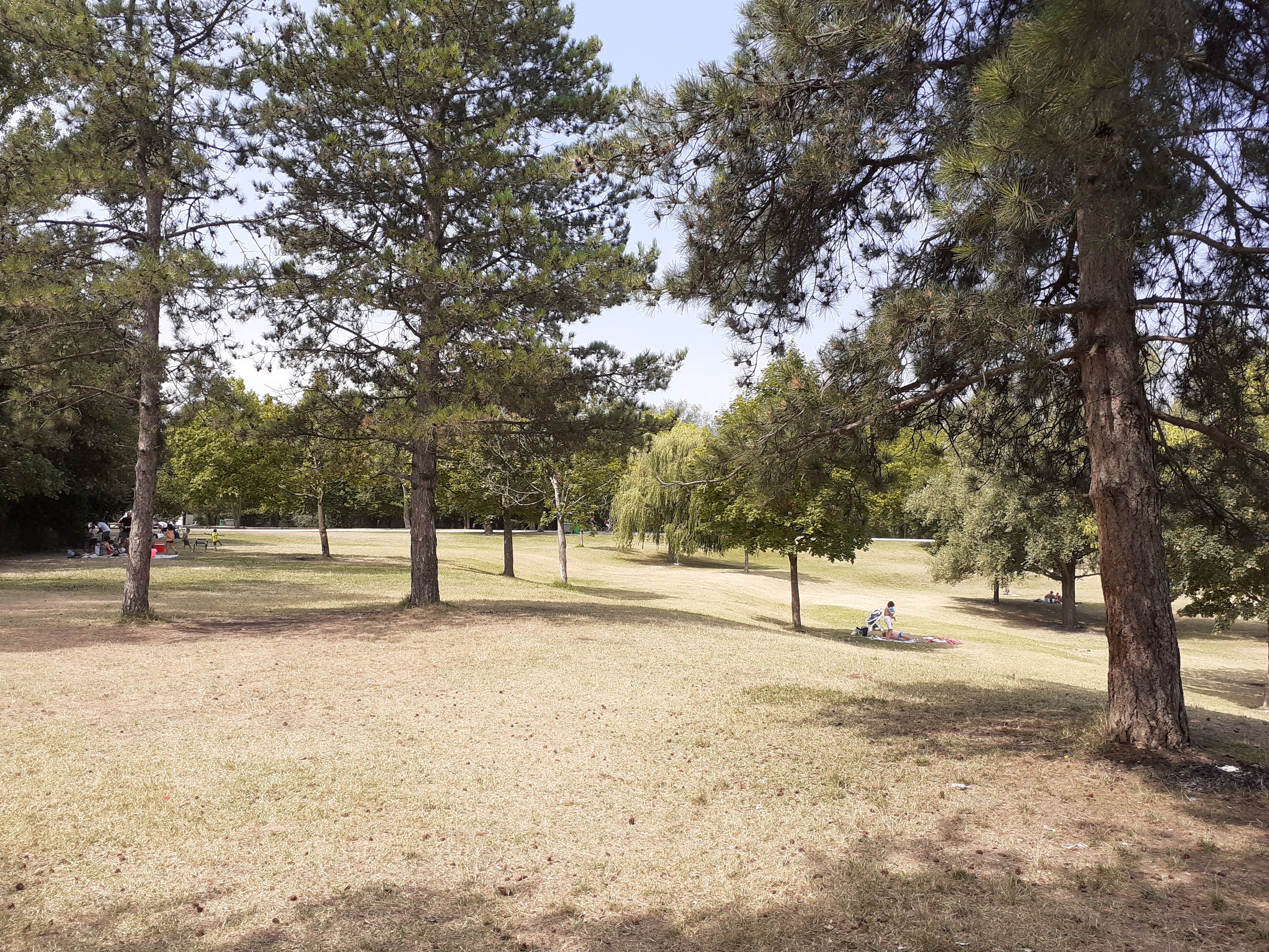 Photo n° 4 de l'avis de Jean.i fait le 21/07/2020 à 15:00
