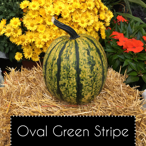 Florist «Nunan Florist & Greenhouses», reviews and photos, 269 Central St, Georgetown, MA 01833, USA