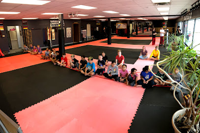 Lincoln Karate Clinic