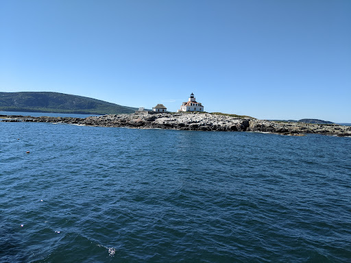 Whale Watching Tour Agency «Bar Harbor Whale Watch Co», reviews and photos, 1 West St, Bar Harbor, ME 04609, USA