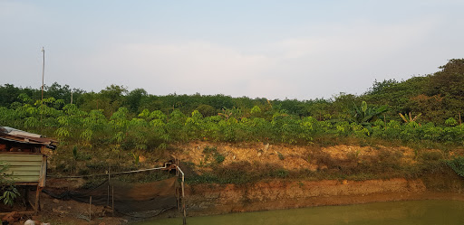 Top 20 cửa hàng online Huyện Phú Riềng Bình Phước 2022