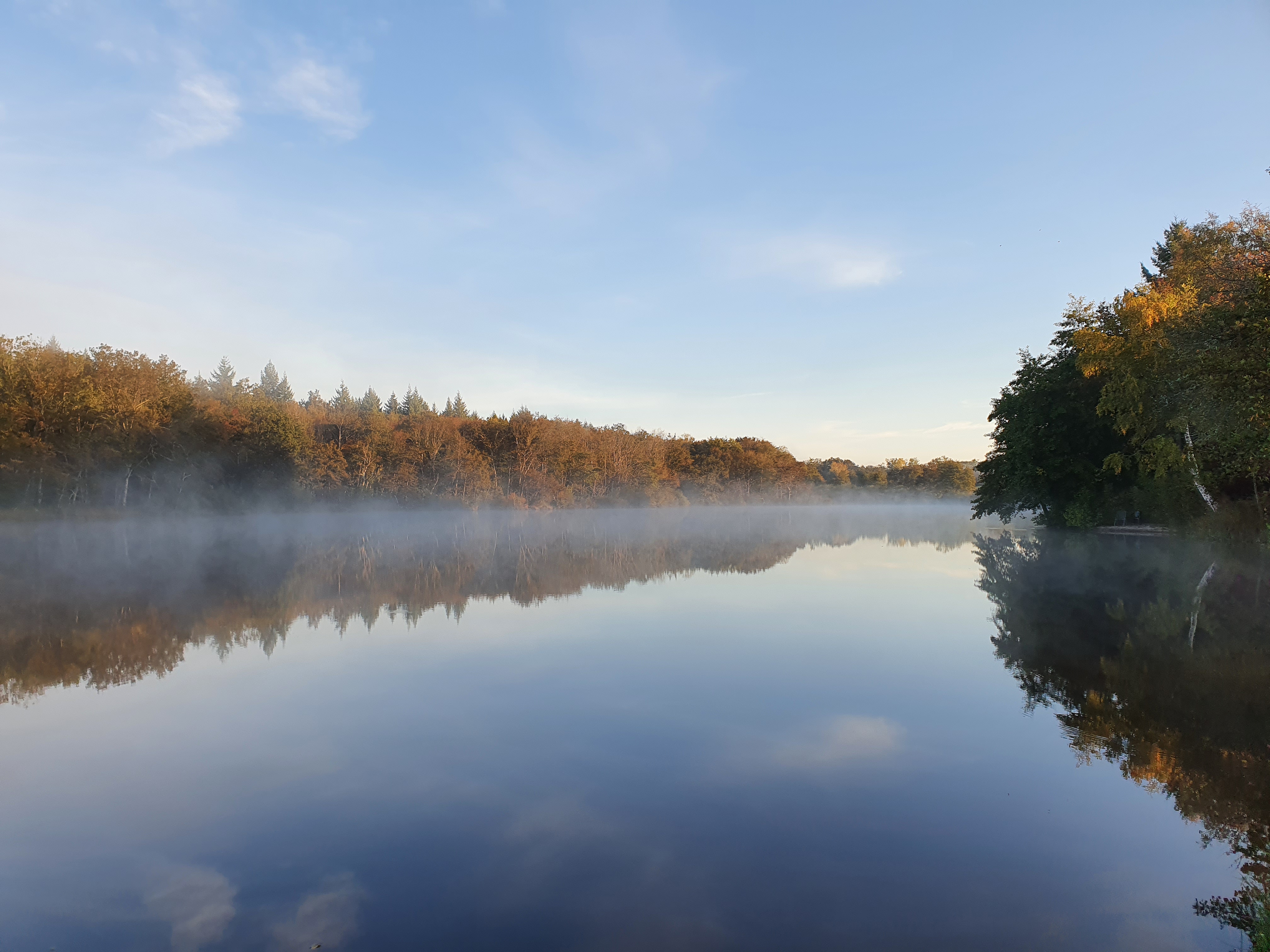 Photo n° 5 de l'avis de henk.w fait le 25/10/2021 à 17:07