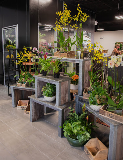 Florist «In Bloom Florist - Heathrow, Florida», reviews and photos, 1210 International Pkwy, Lake Mary, FL 32746, USA